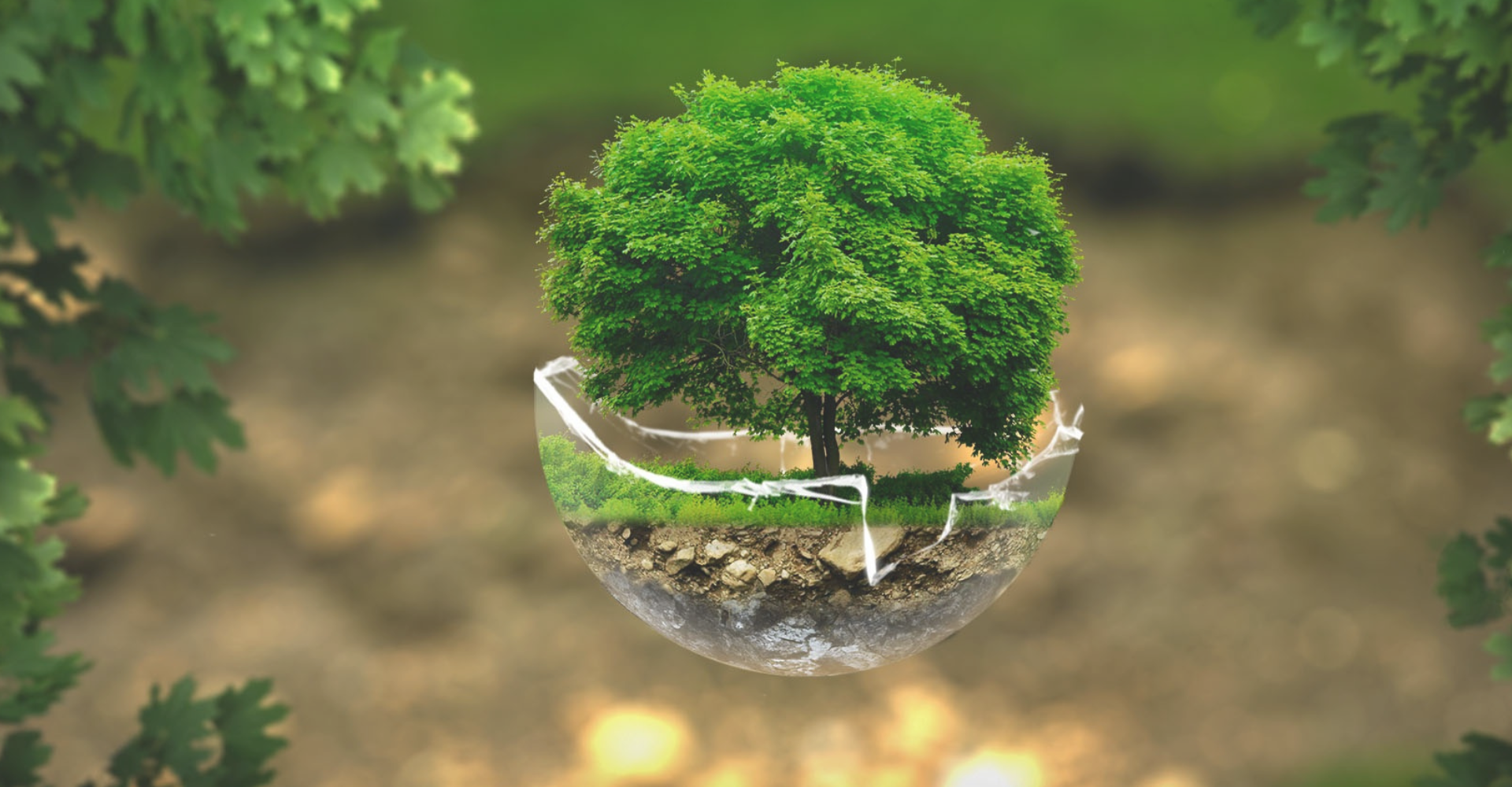 Turning Climate Action into Competitive Advantage