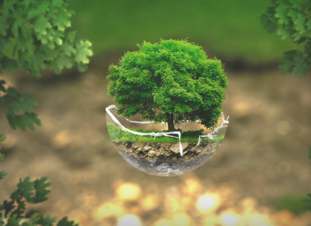 Turning Climate Action into Competitive Advantage