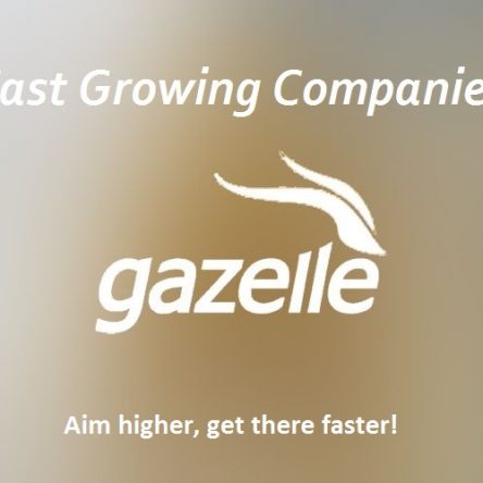 FAST GROW COMPANY ” Gazelle “